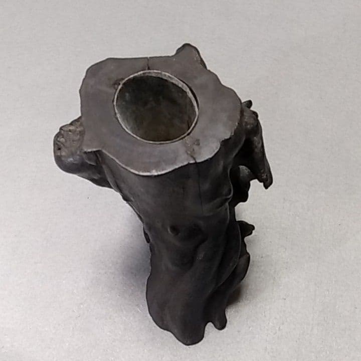 海松　深海松　黒珊瑚