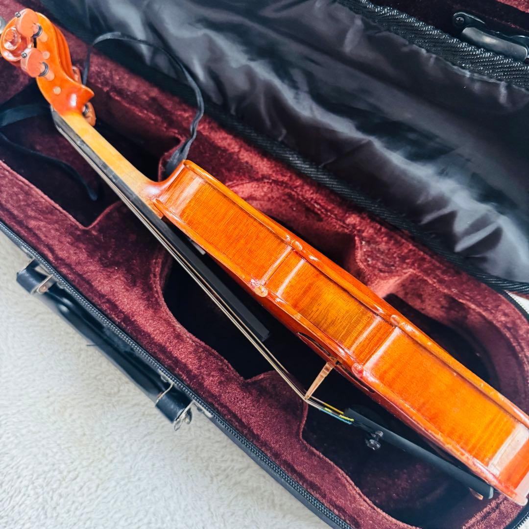 希少虎杢　高級バイオリン　カルロ・ジョルダーノ　1/10弦楽器　音楽