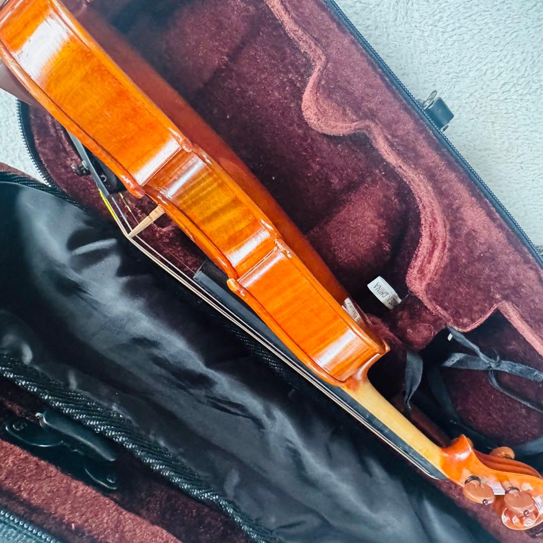 希少虎杢　高級バイオリン　カルロ・ジョルダーノ　1/10弦楽器　音楽