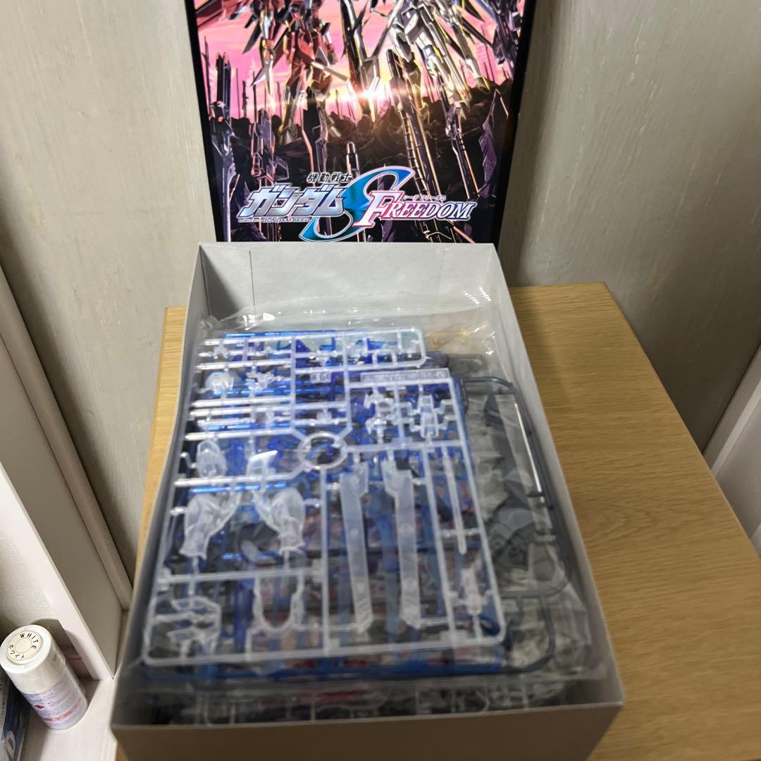 ロボット HG DESTINY GUNDAM & RIGEN FREEDOM GUNDAM