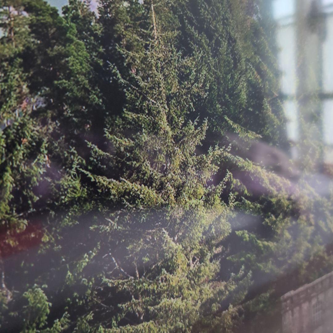 SONY KJ-49X8500C 49インチ液晶テレビ