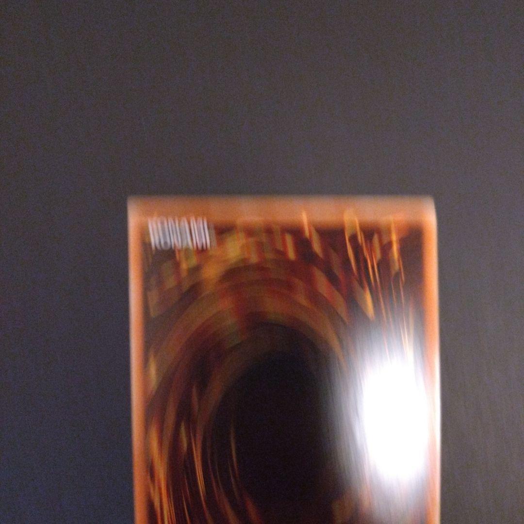 な*あ様 遊戯王　青眼の白龍　ホロパラ