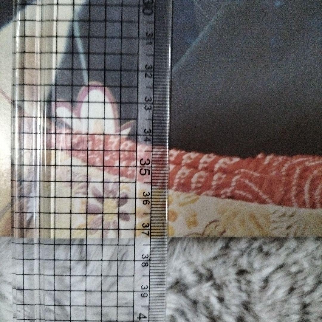 わたしの幸せな結婚