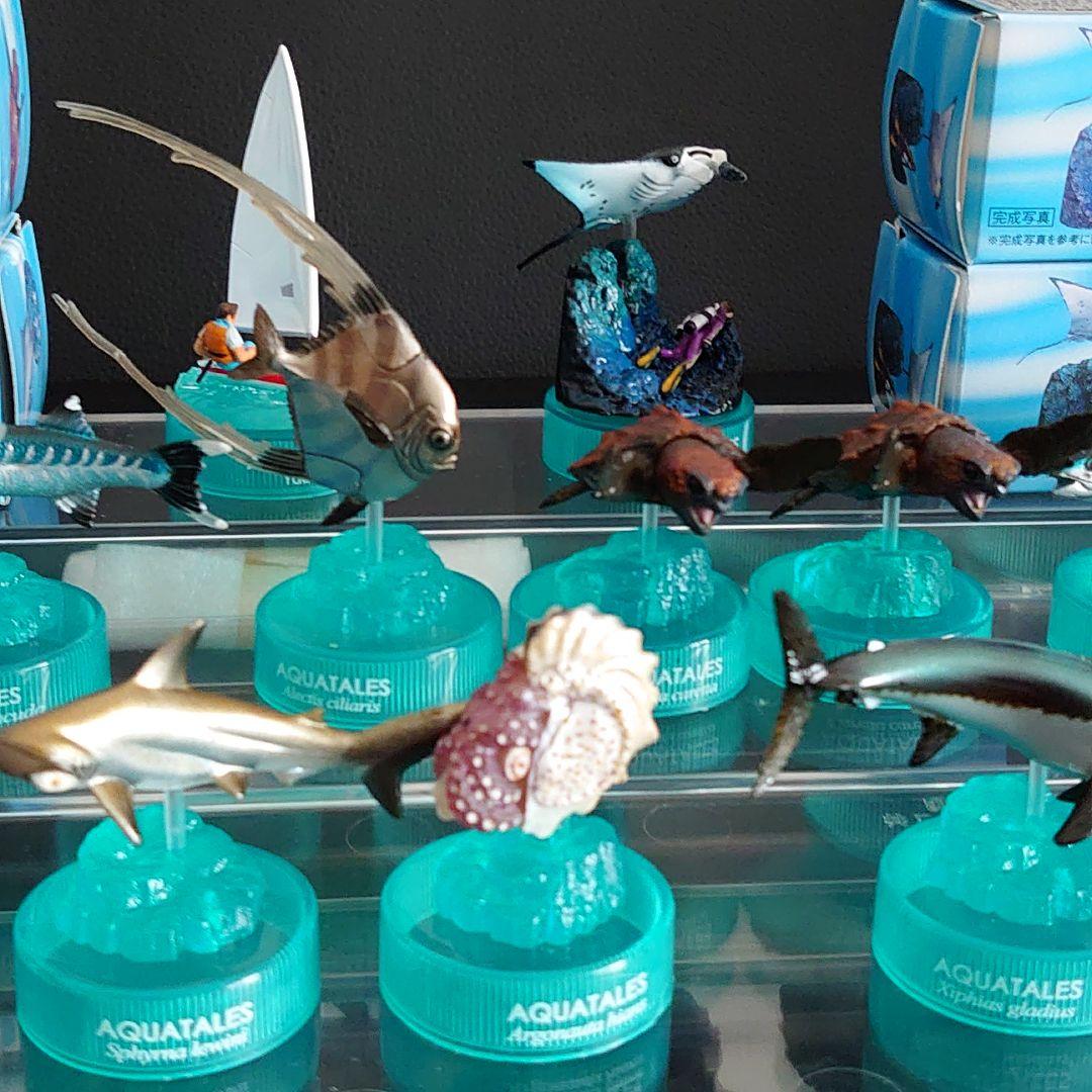 海洋堂 アクアテイルズ 黒潮の魚たち glico