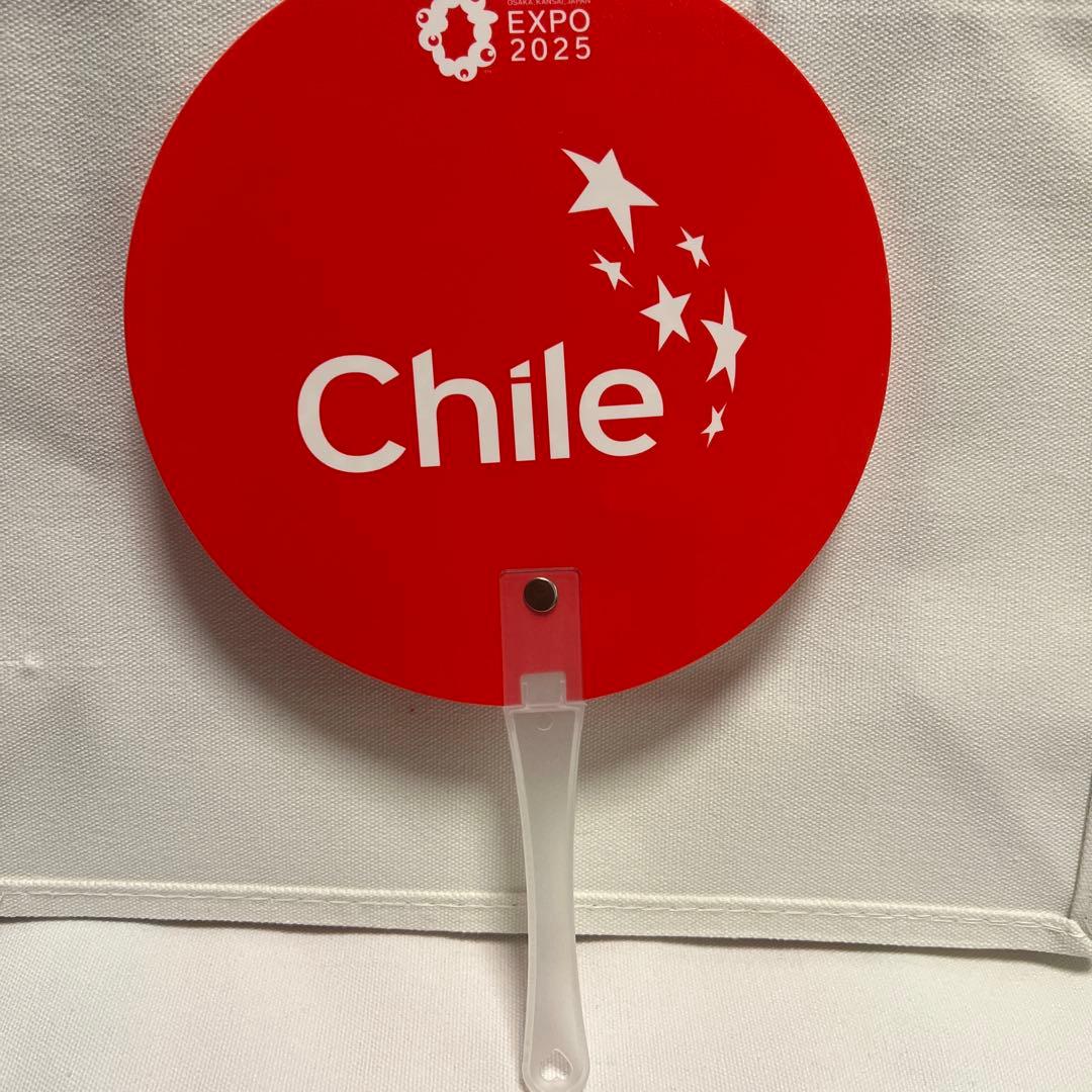 非売品EXPO チリ　トートバック2種類　ノート　風車　うちわもセット