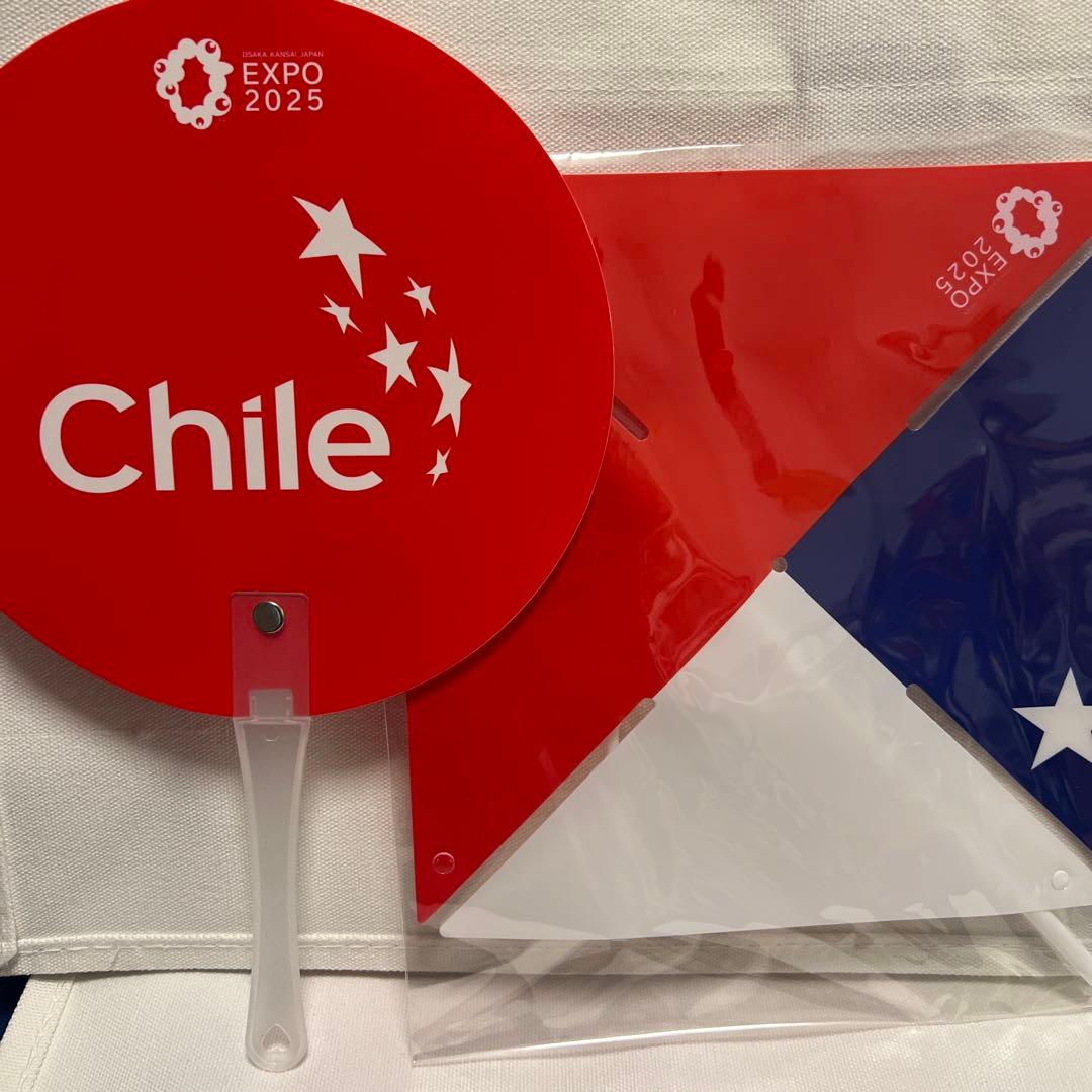 非売品EXPO チリ　トートバック2種類　ノート　風車　うちわもセット