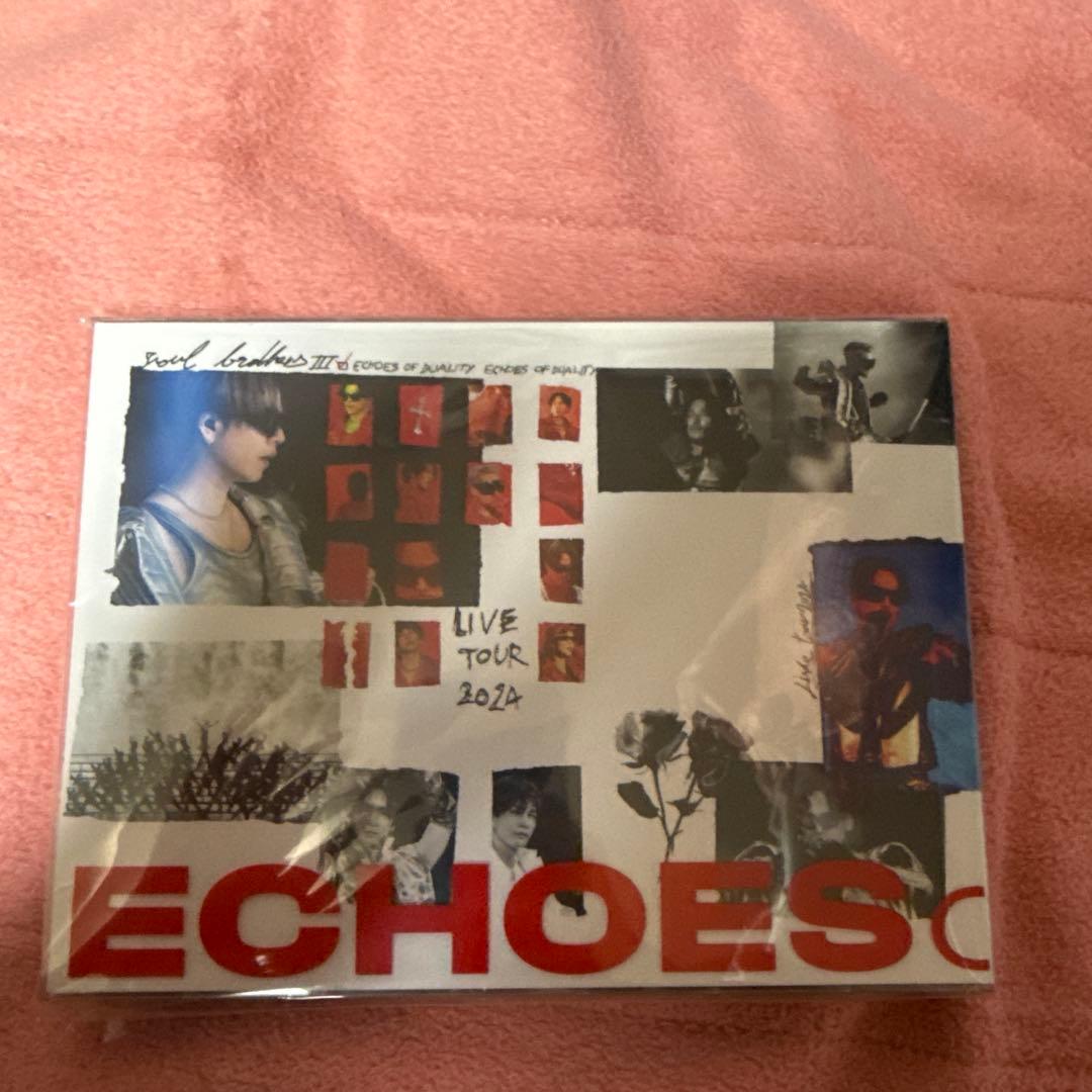 ミュージック SOUL BROTHERS LIVE TOUR 2024 DVD