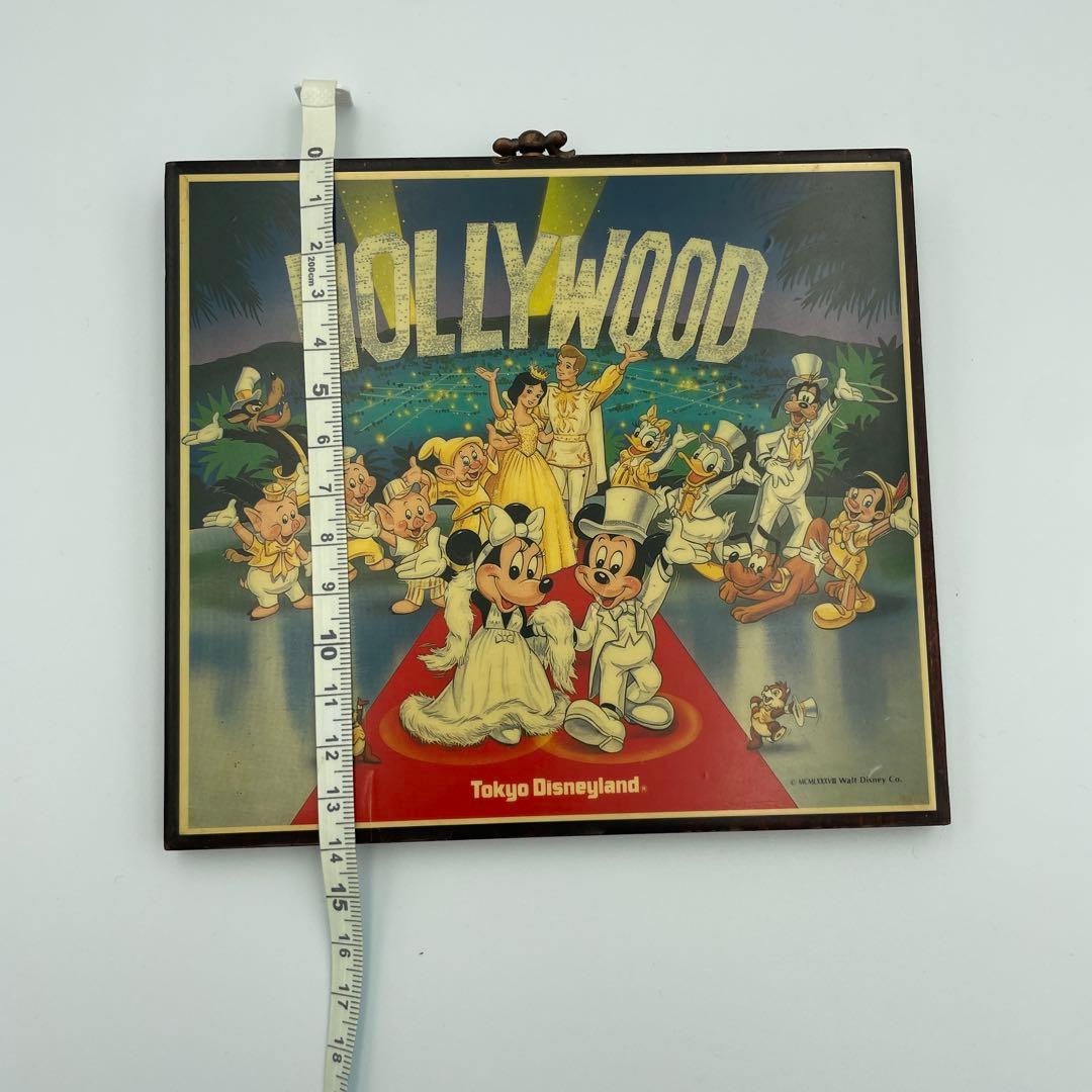 東京ディズニーランド　木製壁掛け