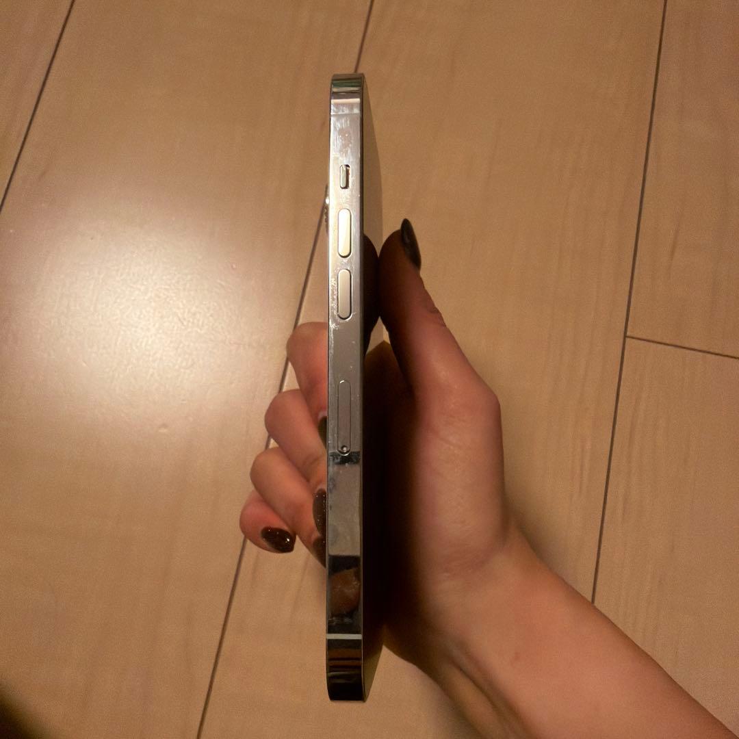 Apple iPhone 14Pro シルバー 本体