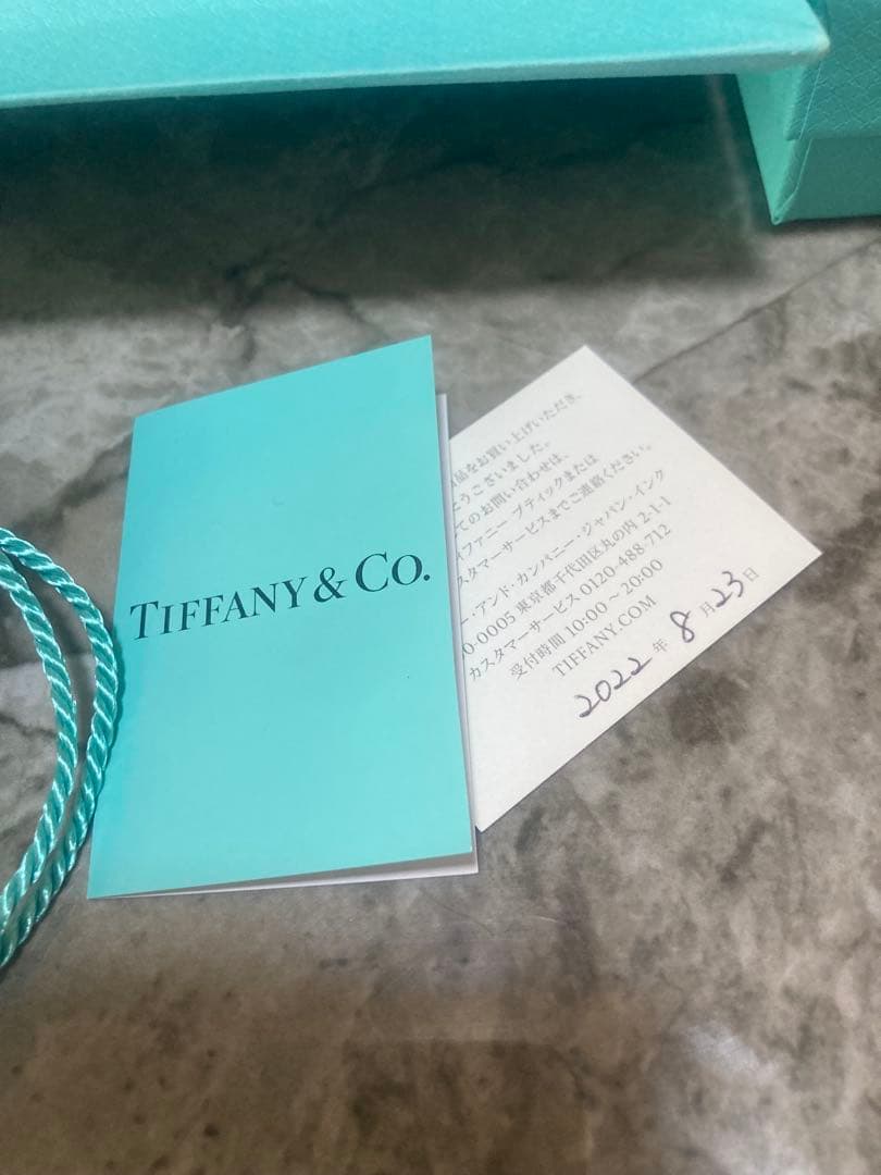 Tiffany & Co. インターロッキング2連リング シルバー925 19号