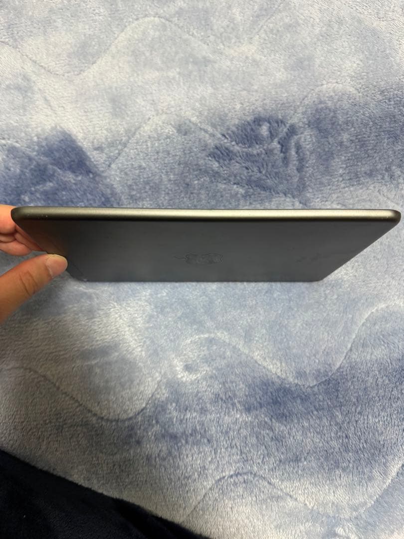 【美品】iPad mini 第5世代 スペースグレー　64GBセルラーモデル