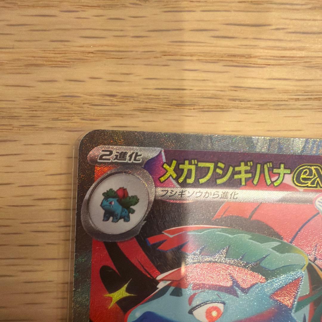 メガフシギバナEX SAR 2枚セット