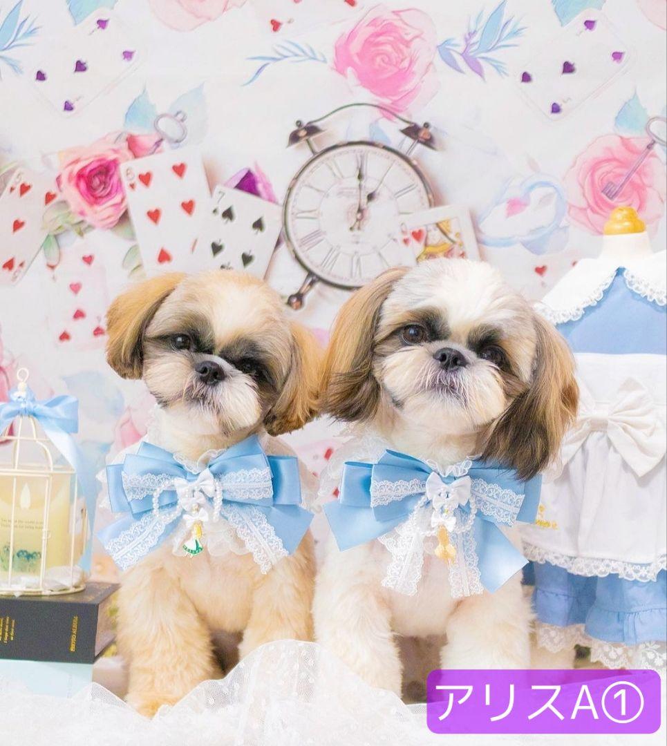 背景布【秋XE】サンプル80×120　ペット撮影用ブース　十五夜　お月見　宇宙