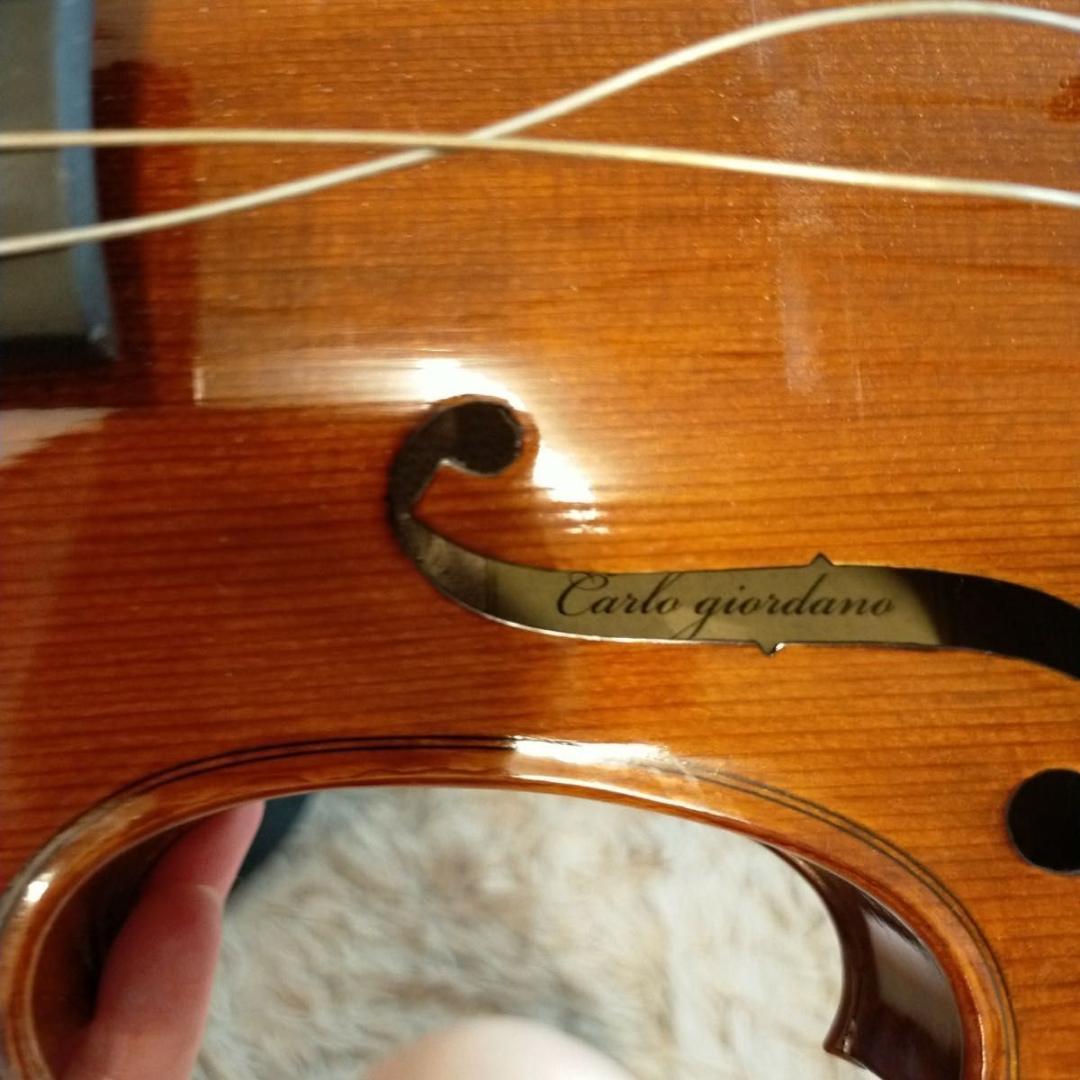 カルロジョルダーノ バイオリン VS-2 4/4　ケース付