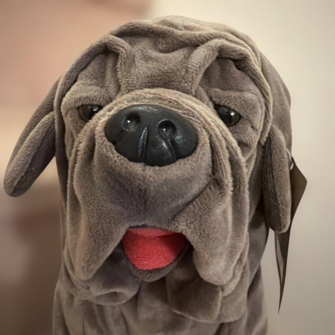 ハリー・ポッター ぬいぐるみ 犬型 グレー