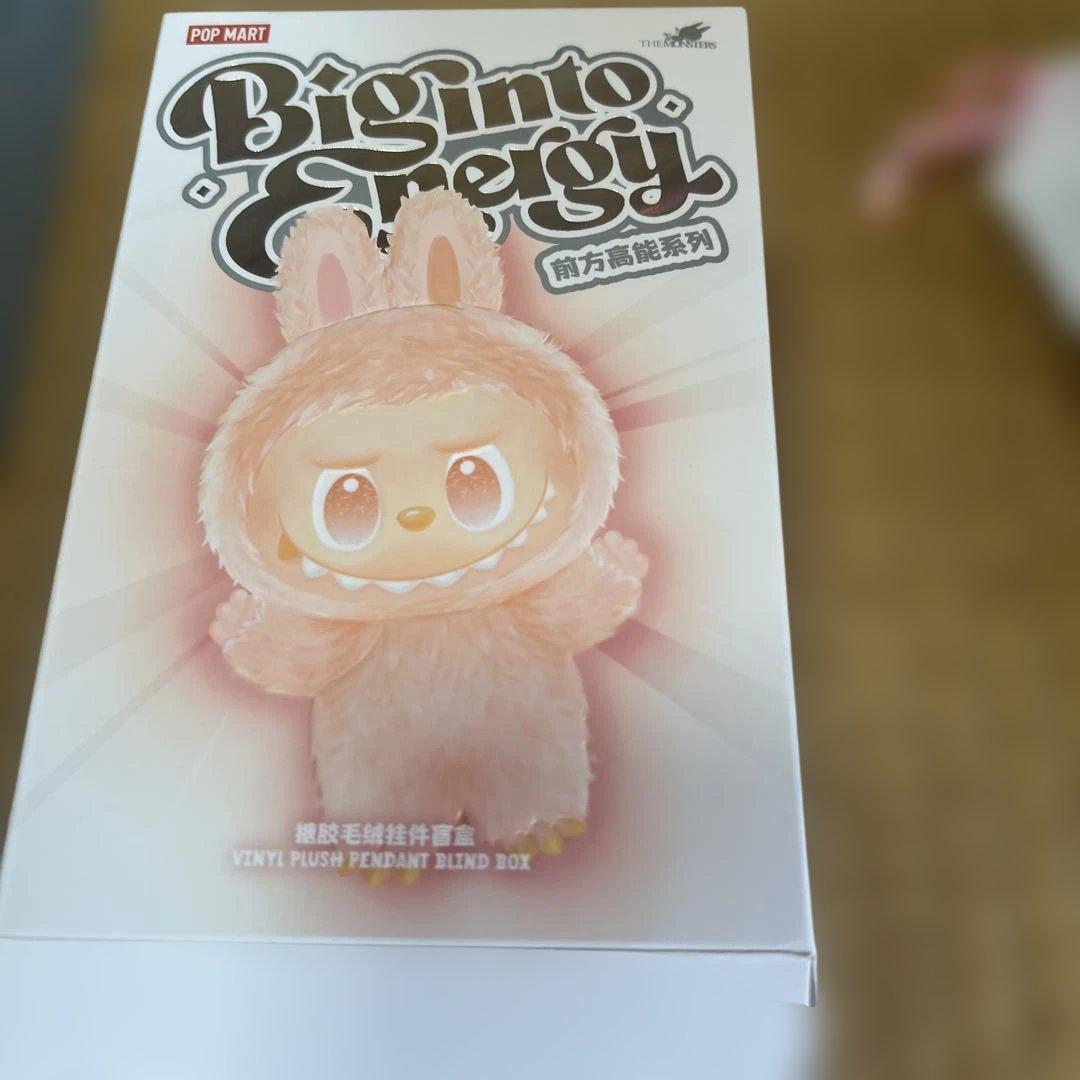 ❁*!様 【正規品】Labubu Big into Energy ラブブ シーク