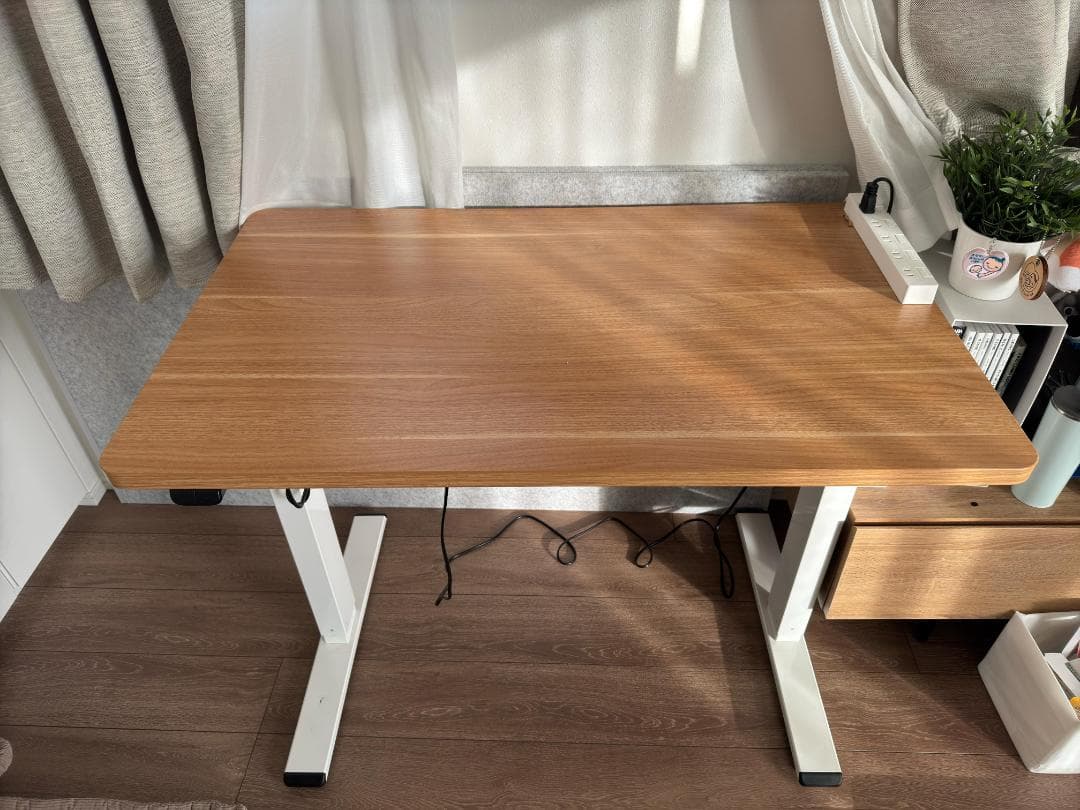 FlexiSpot 電動式スタンディングデスク EG1 昇降デスク 100x60