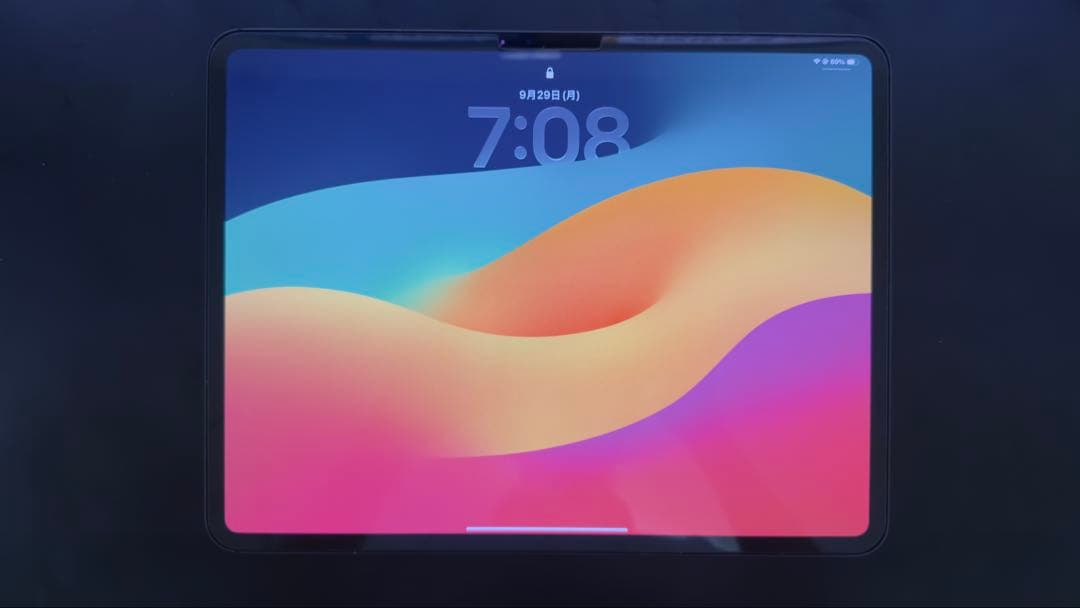 ぶ*り様 iPad Pro(M4) 13インチ 1TB WiFi