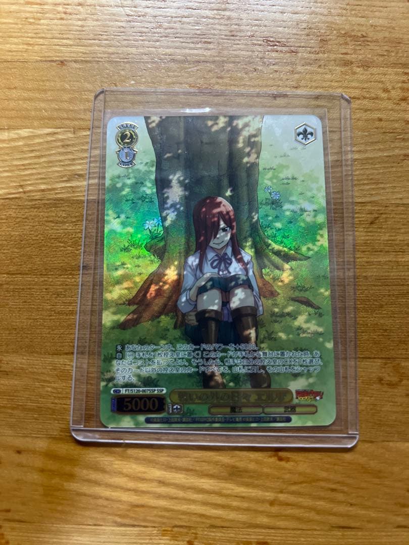 フェアリーテイル 戦いの外の日々 エルザ　SSP