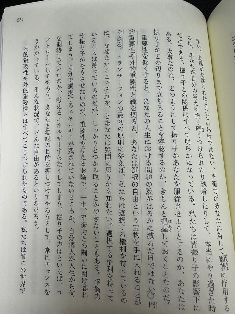 振り子の法則 リアリティ・トランサーフィン