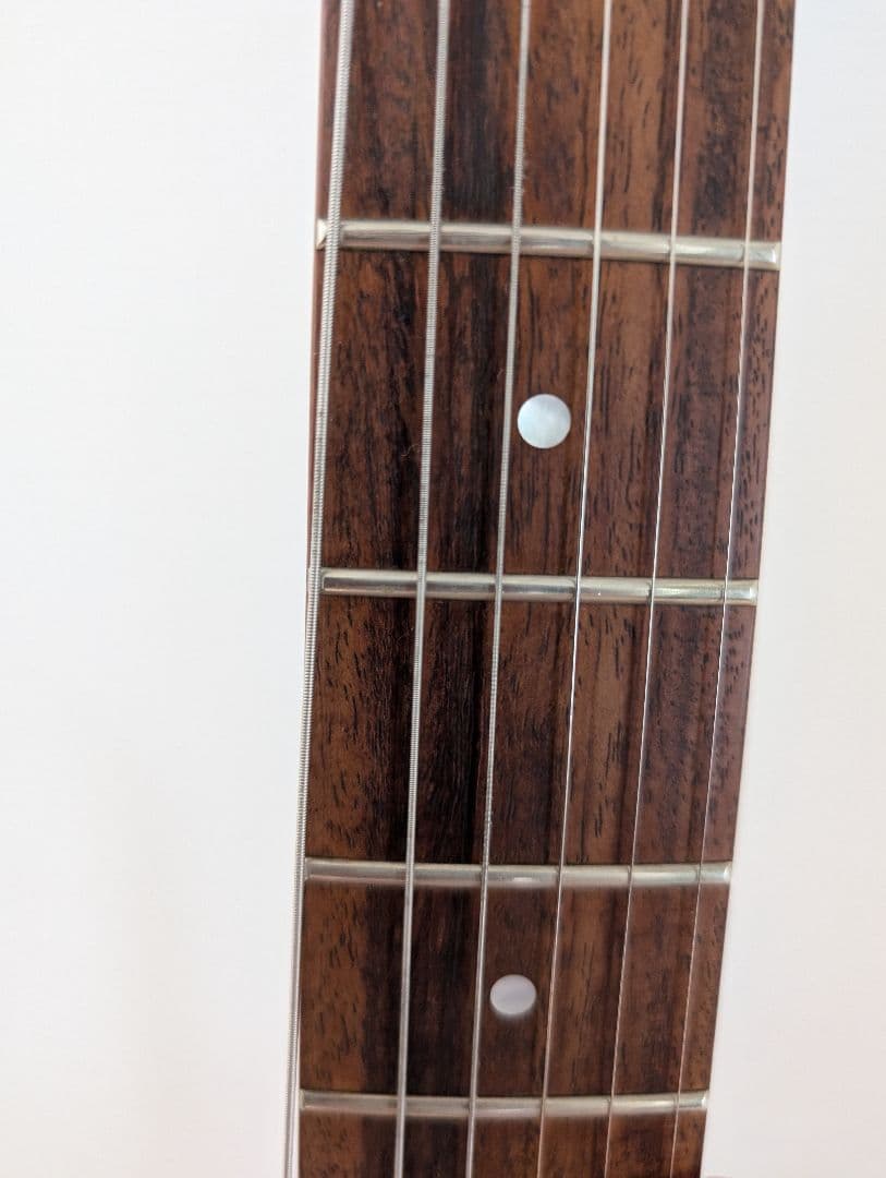 美品　Fernandes FR-DLX JPC サステイナー 2011年