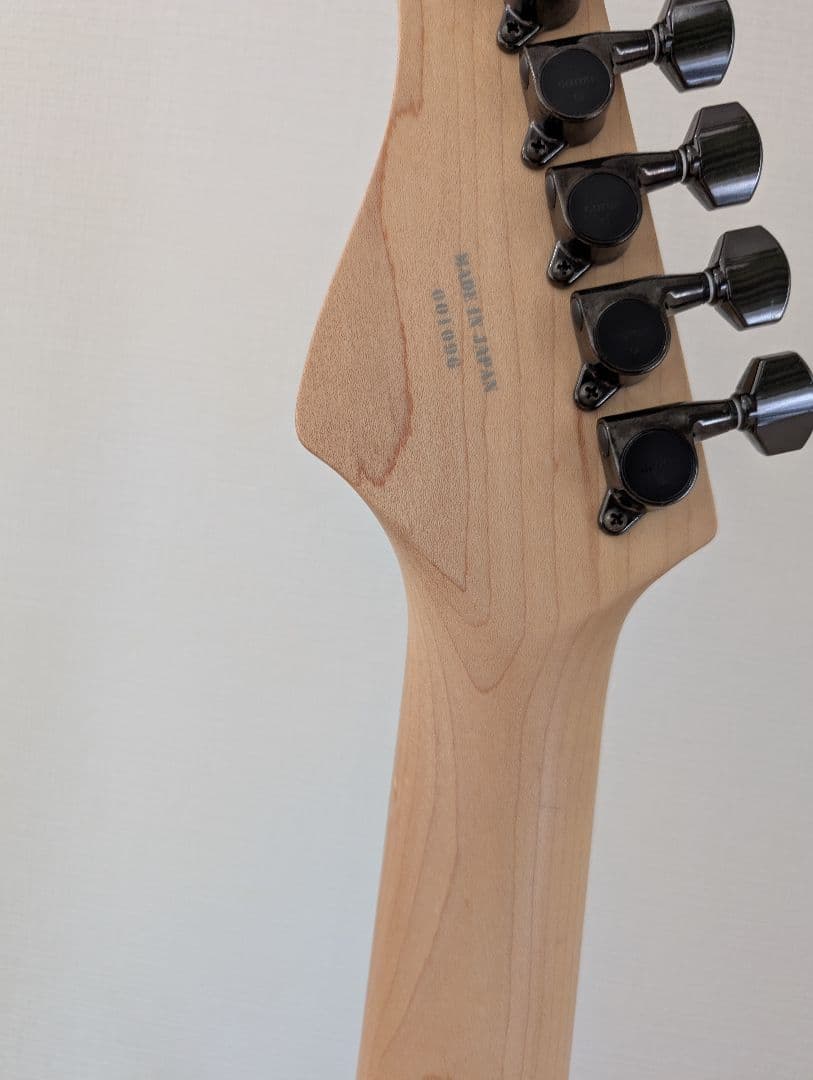 美品　Fernandes FR-DLX JPC サステイナー 2011年