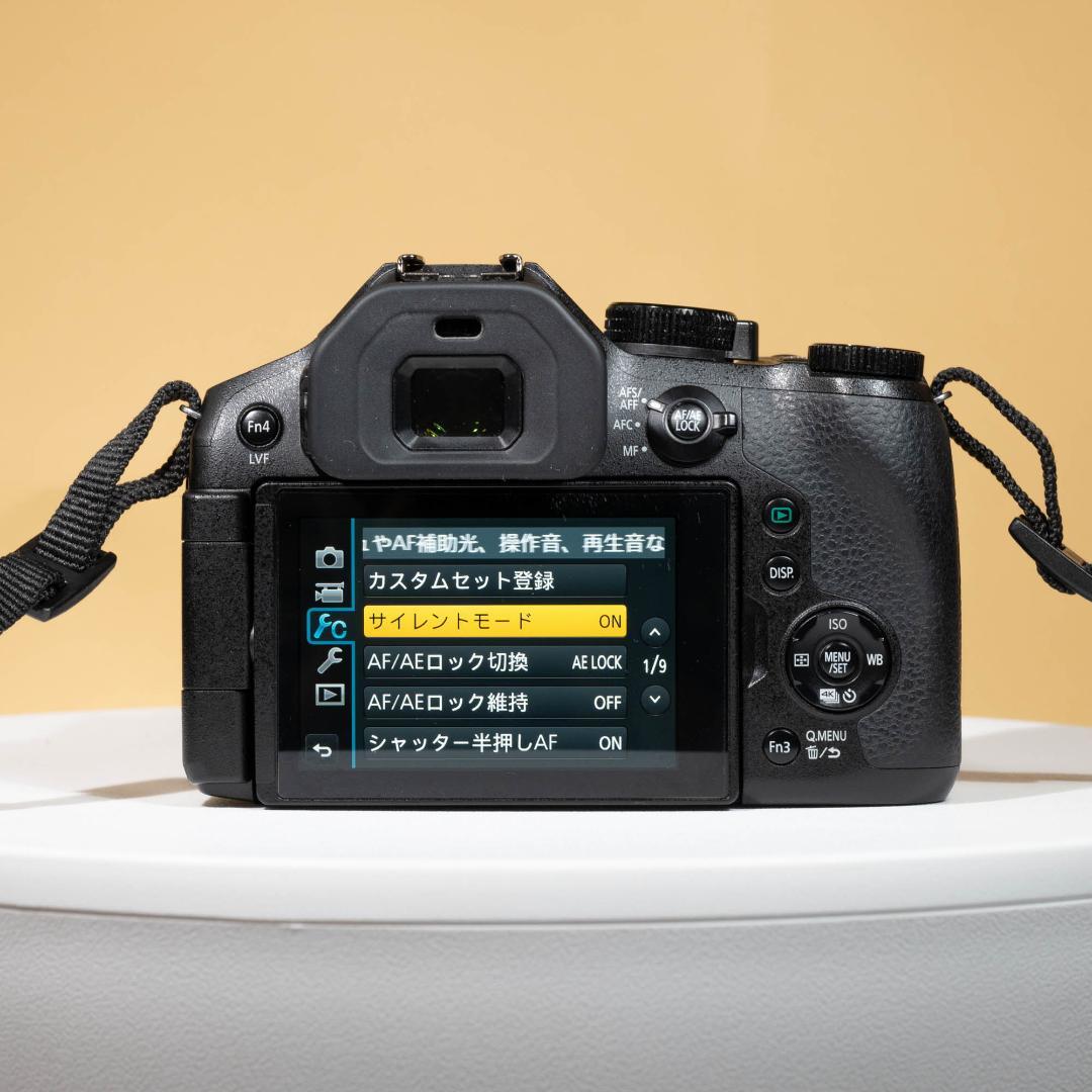 Panasonic LUMIX DMC-FZ300 LEICAレンズ搭載