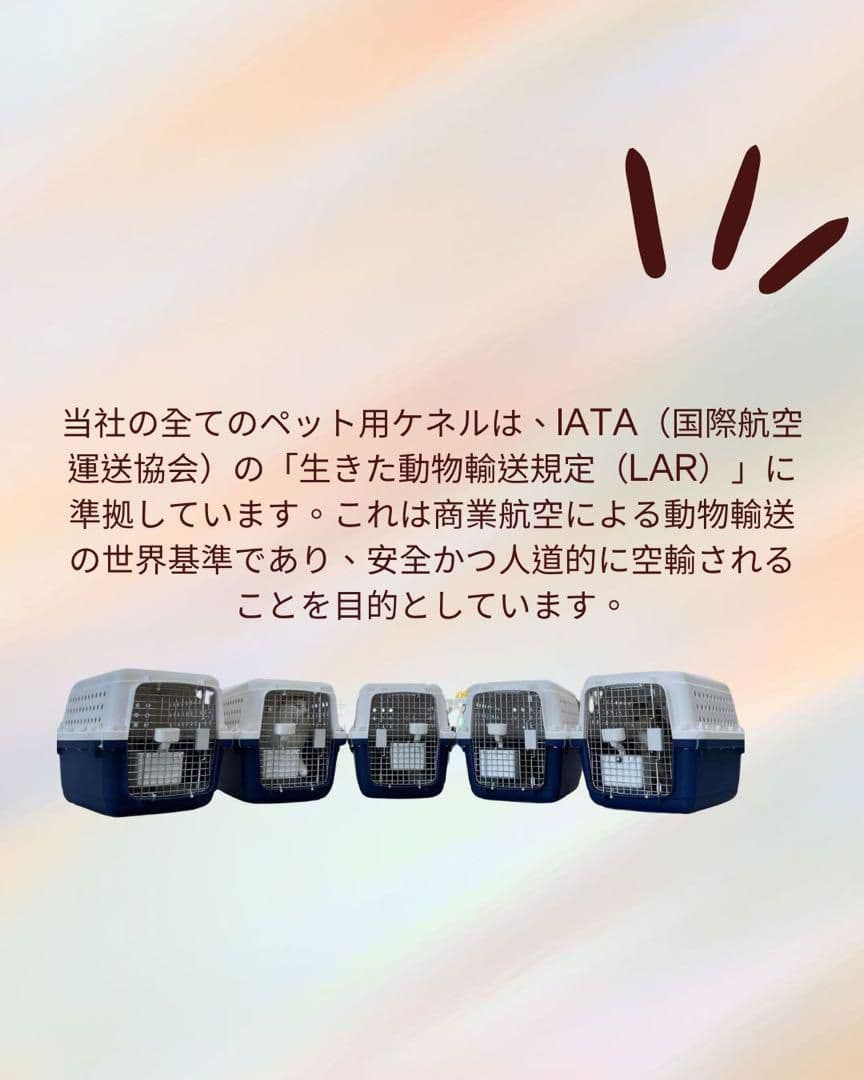 猫犬　ケージ クレート　ペットパレス BB75 移住　お出かけ 輸送