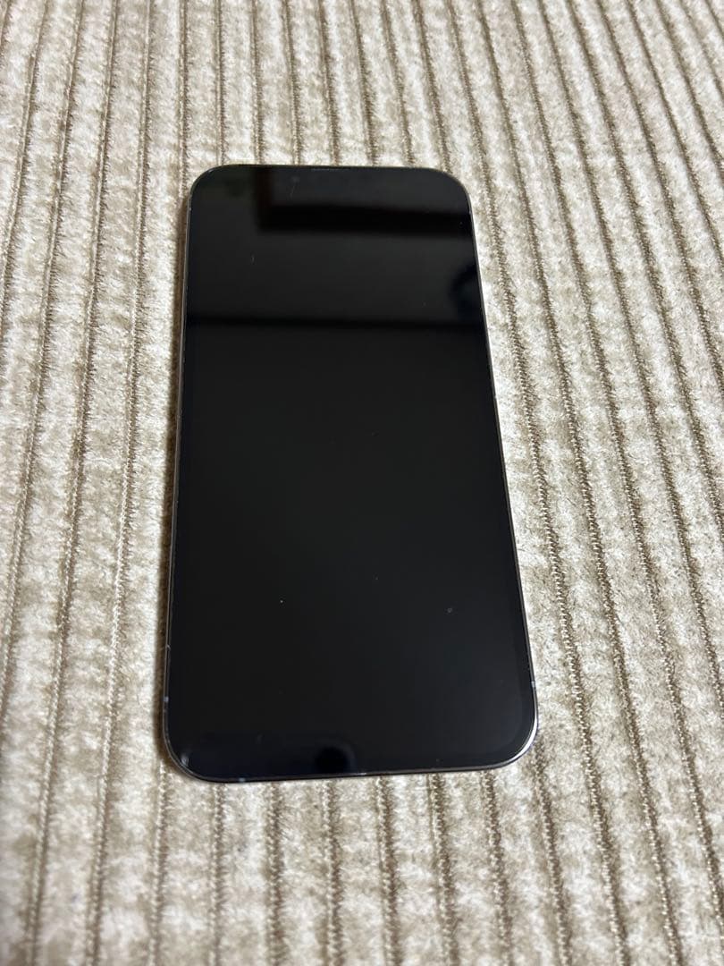 iPhone 13promax 256GB シエラブルー