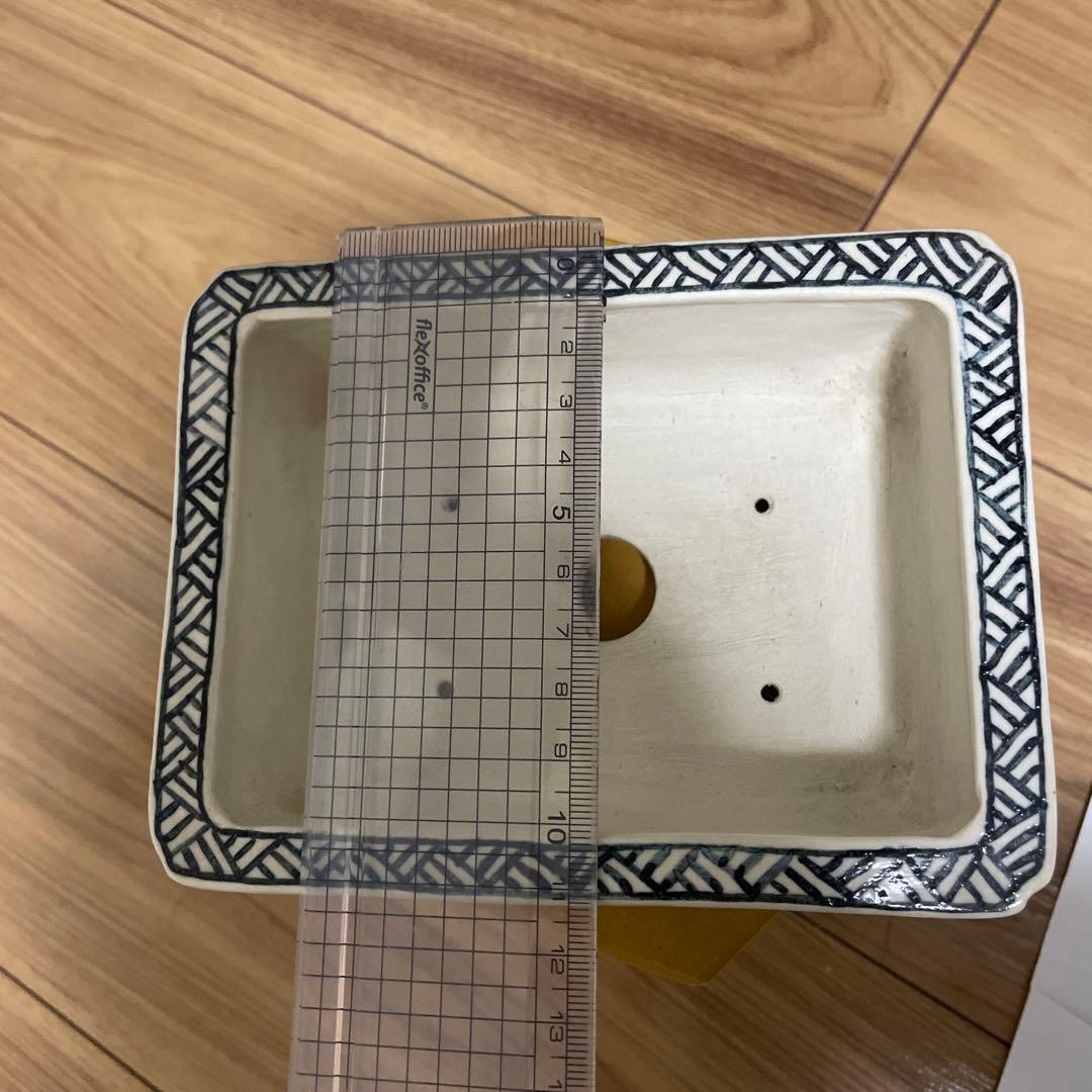 盆栽鉢　桑津香石　山野草　絵鉢