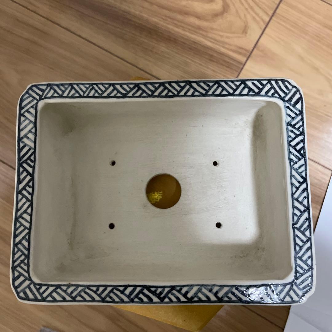 盆栽鉢　桑津香石　山野草　絵鉢