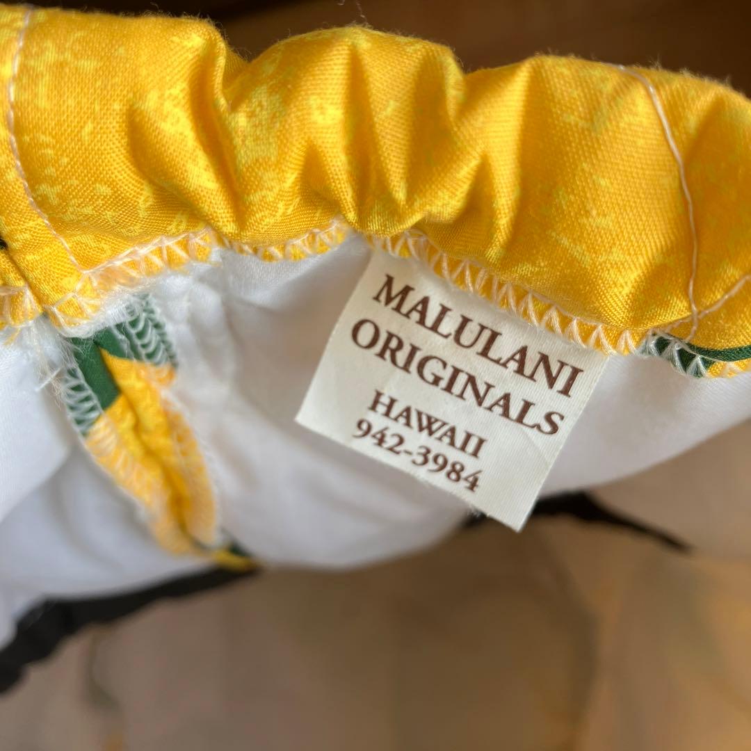 フラダンス　楽器　イプ