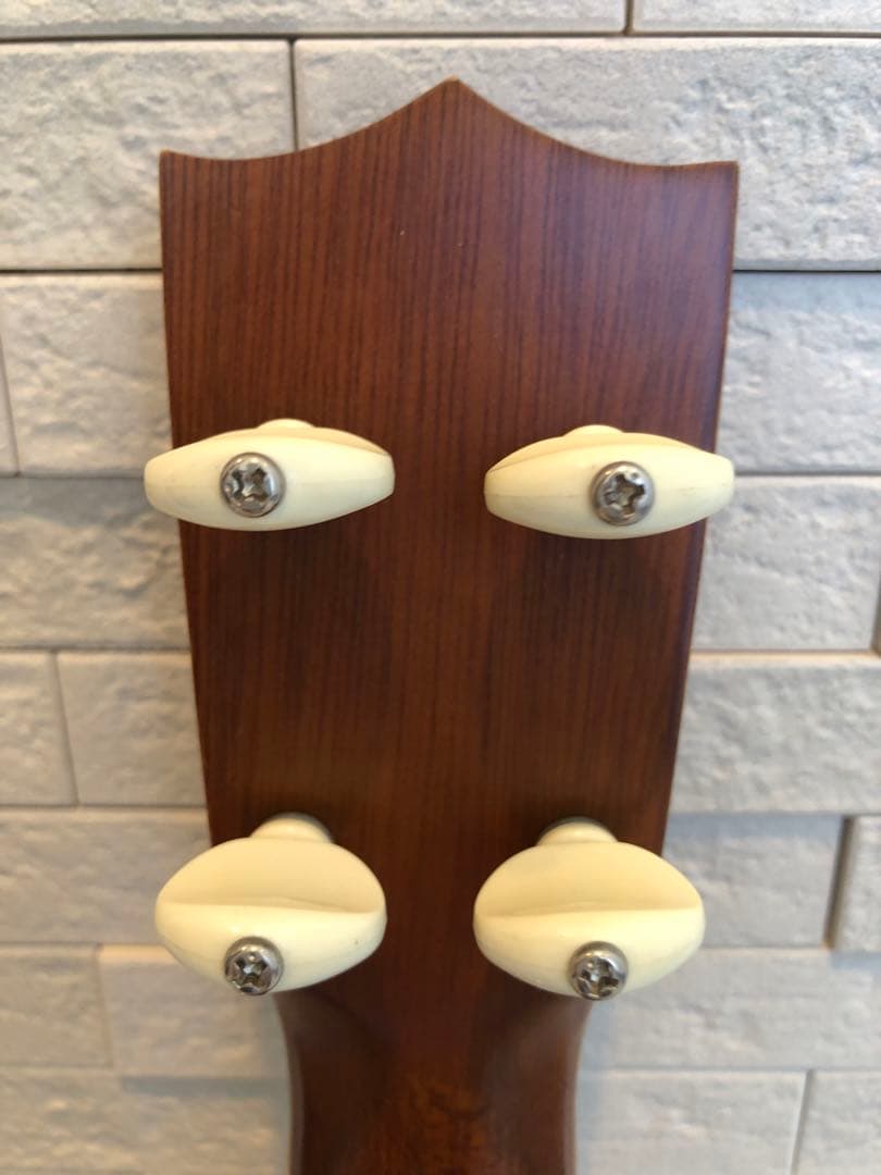 Famous FU-120P ソプラノウクレレ ソフトケース付き