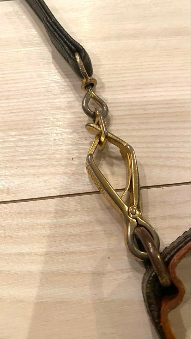 Louis Vuitton 犬用首輪 & リード