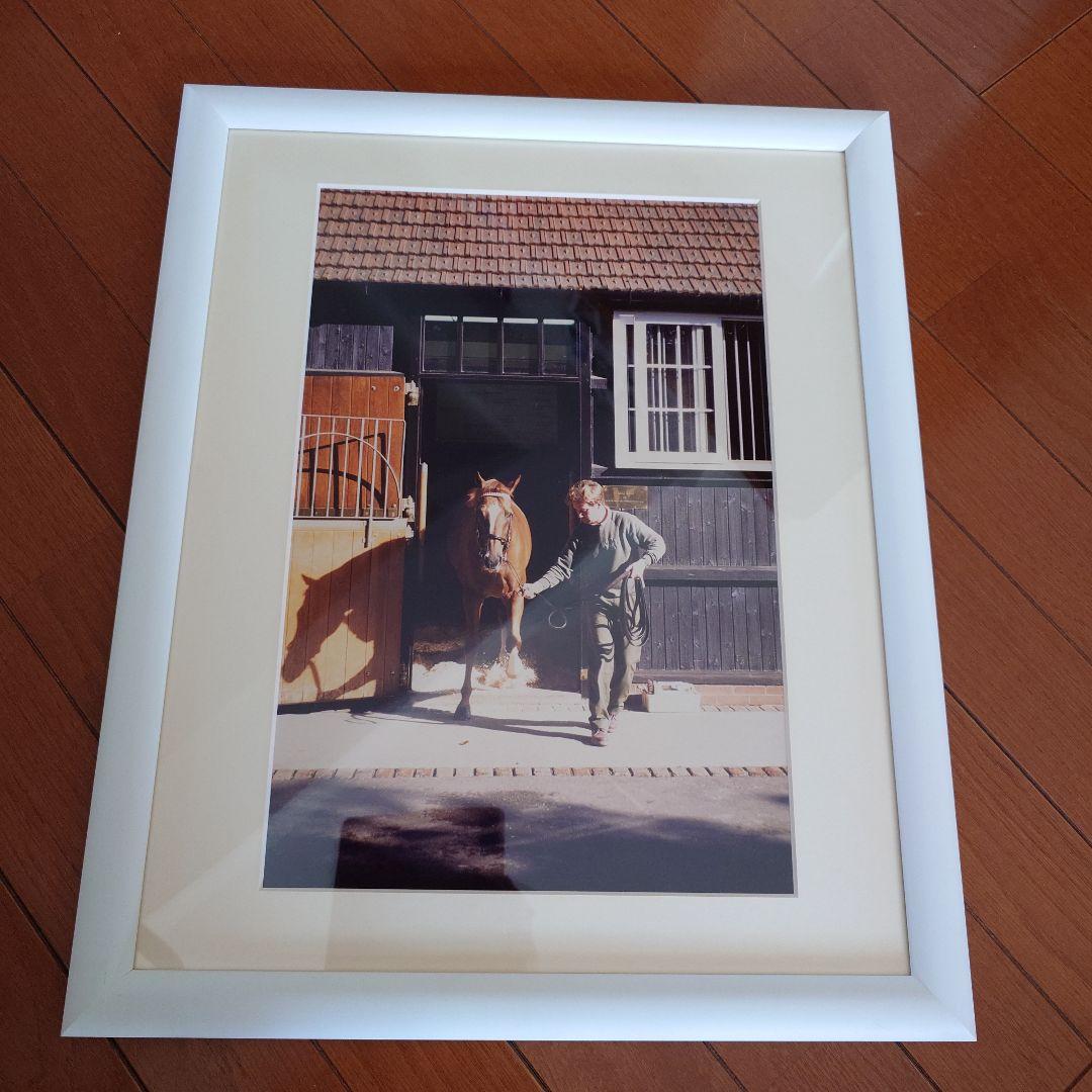 JRA　競馬　’91世界最強3歳馬アラジ号　写真（額入り）