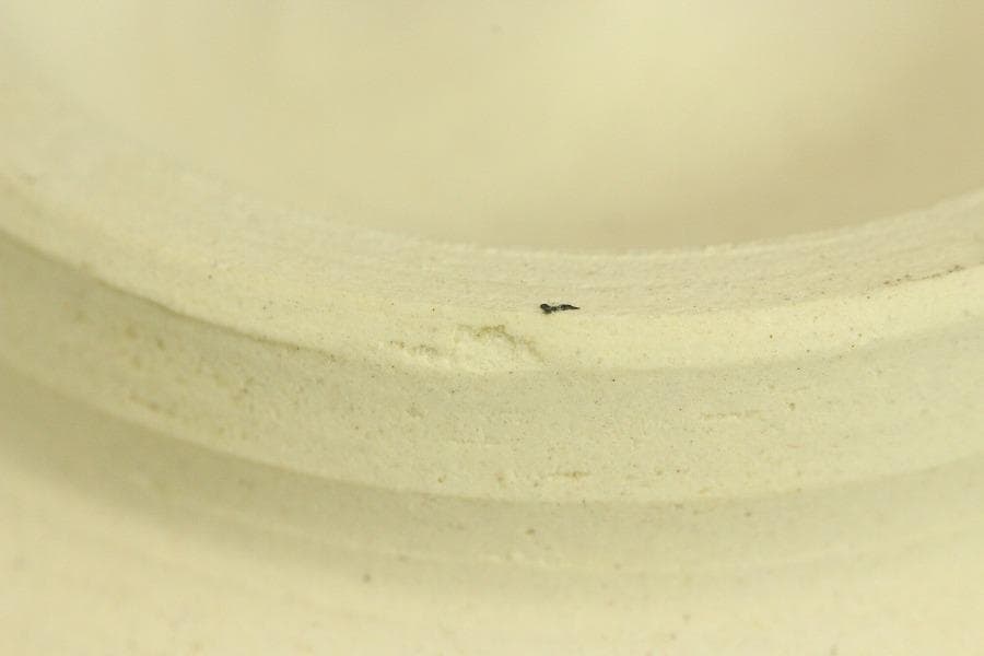 茶道具 高取 数茶碗 神谷新吾 共箱(A893)