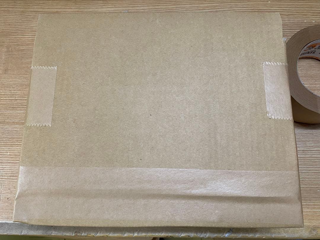 新品 S.H.Figuarts（真骨彫製法） 仮面ライダー龍騎 フィギュアーツ