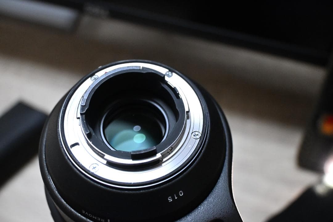 【作例あり】SIGMA超望遠　150-600mm Fマウント