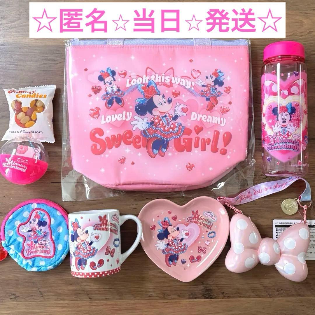 ミニパル　2026 パルパルーザ　スーベニア　ドリンクボトル　ファンダーミニー