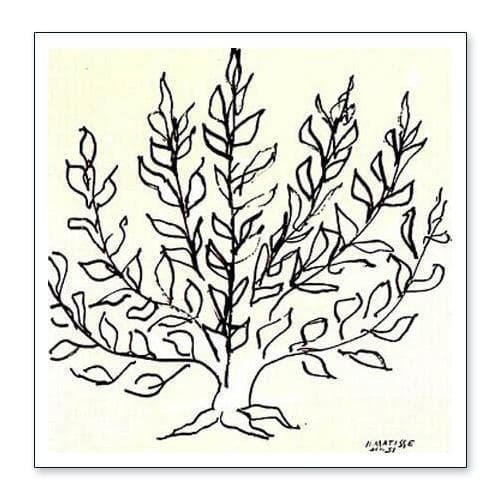 低木 1951年 アンリ マティス アートポスター Henri Matisse