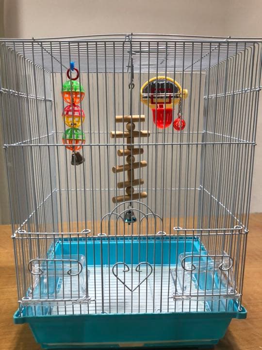 ☆ インコ　ケージ　ヒーター　オモチャ　本　色々スターターセット