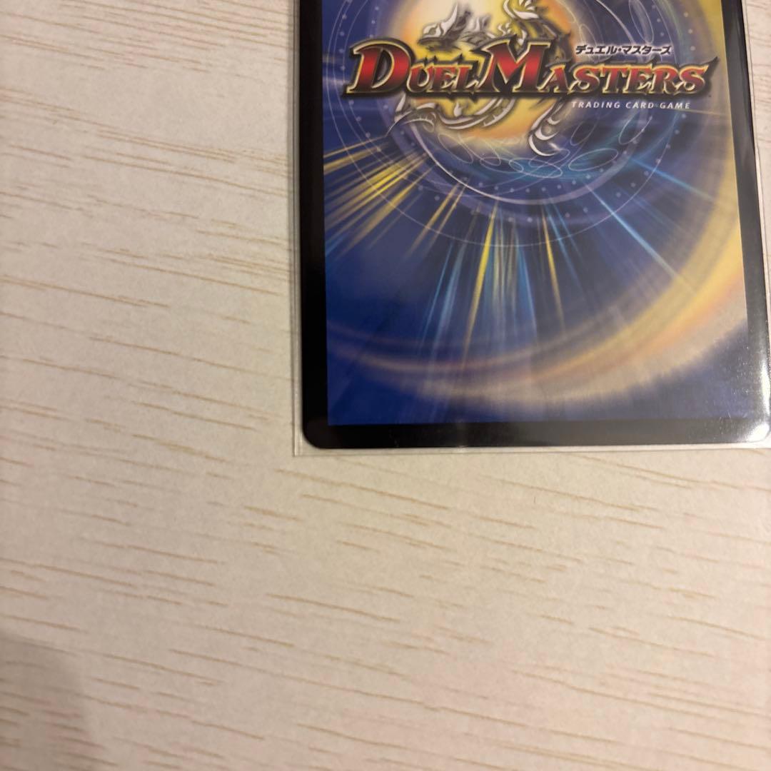 聖霊超王 H ・アルカディアス　シークレット