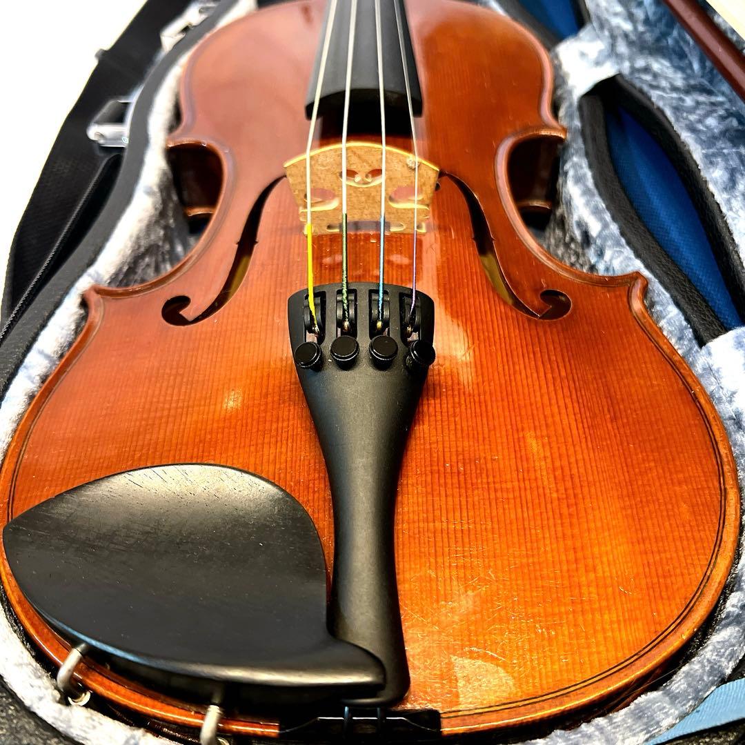 【希少美品】Pygmalius ピグマリウス　Bambino 1/2 バンビーノ