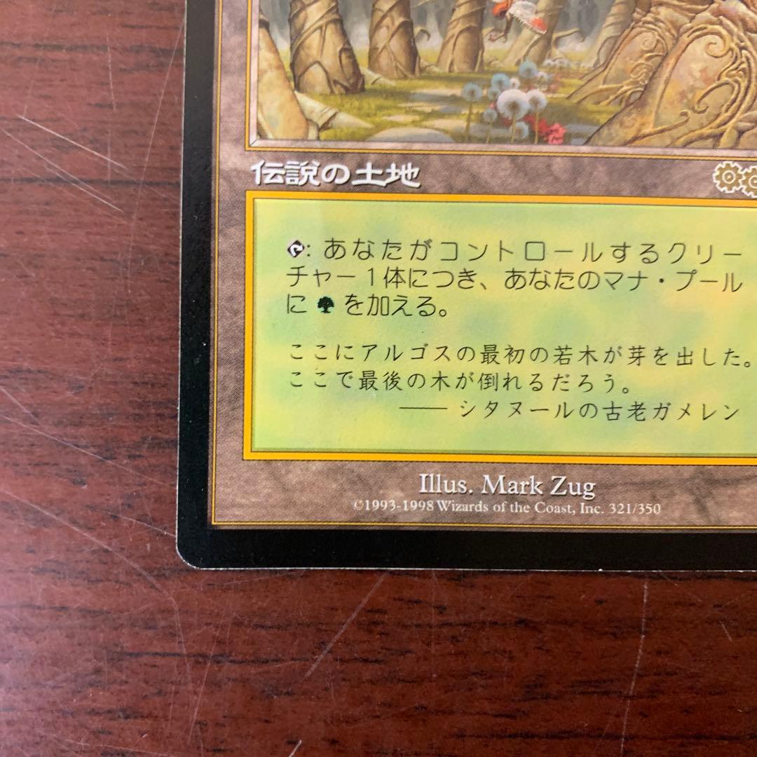 ガイアの揺藍の地　マジックザギャザリング　伝説の土地