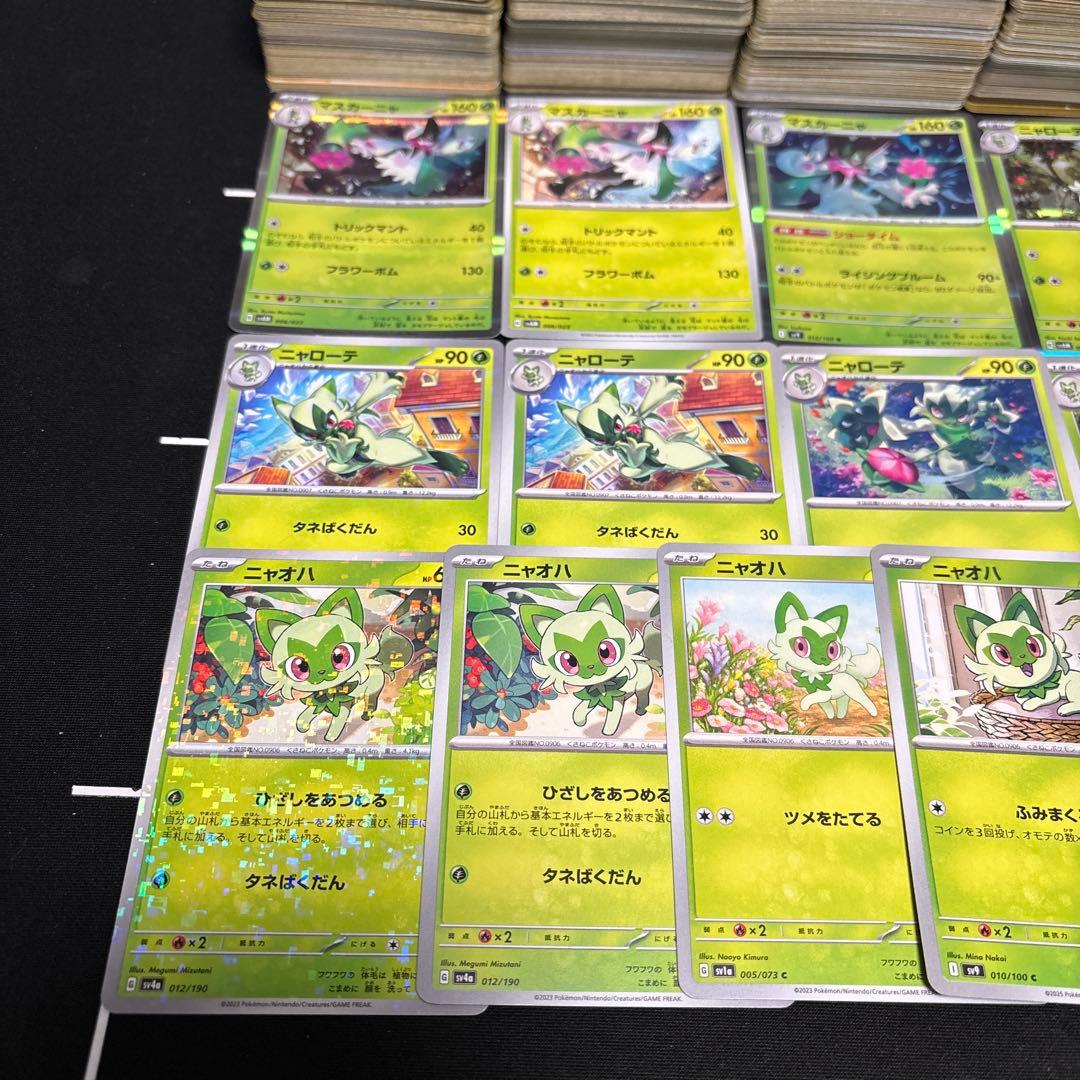 【約1000枚】ポケモンカード　ニャオハ　ニャローテ　マスカーニャ大量セット