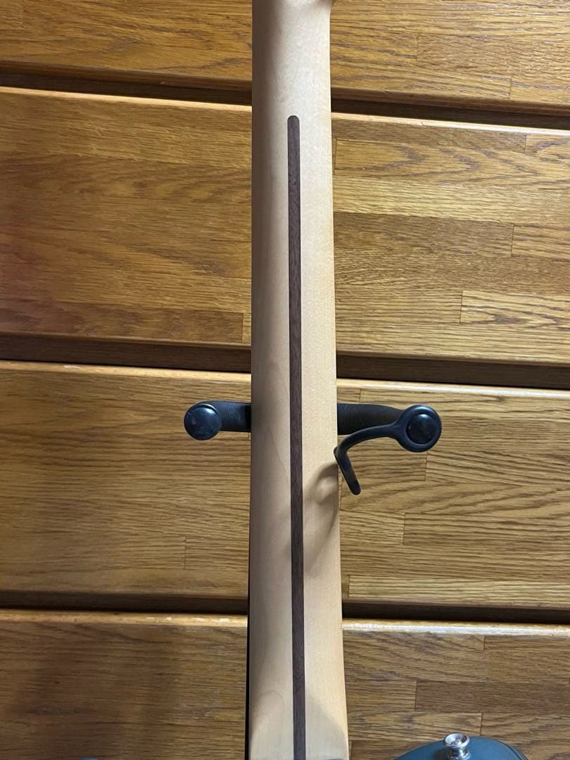 Fender Telecaster Player series ブルー