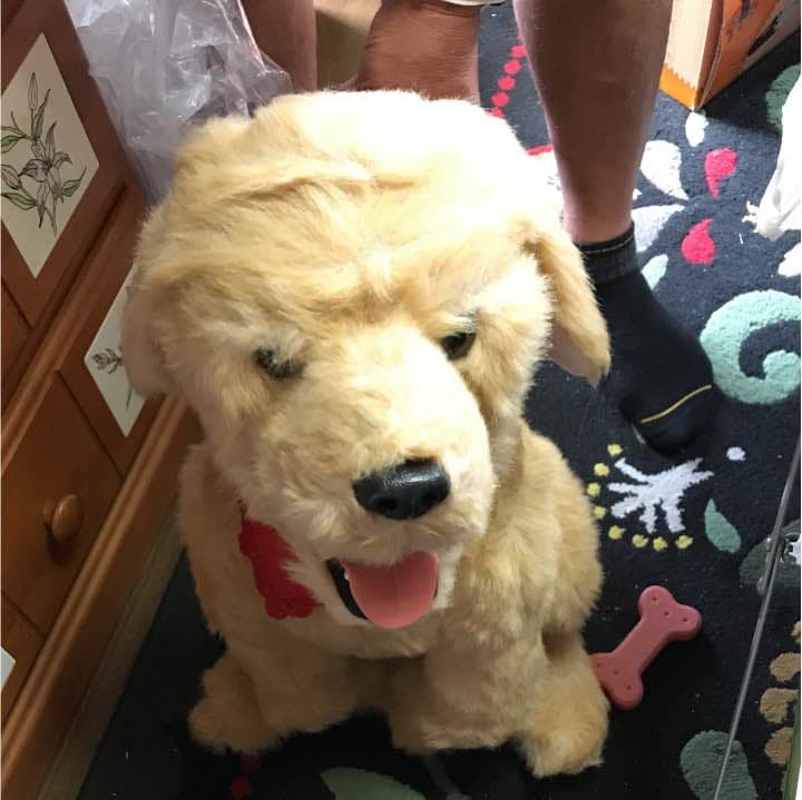 ぬいぐるみロボット