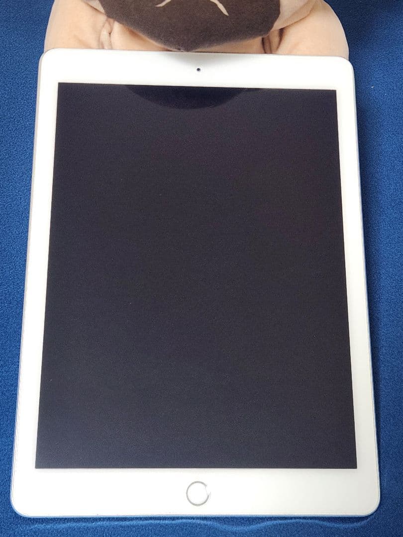 【最終値下】iPad Pro 9.7 256GB シルバー ペン キーボード