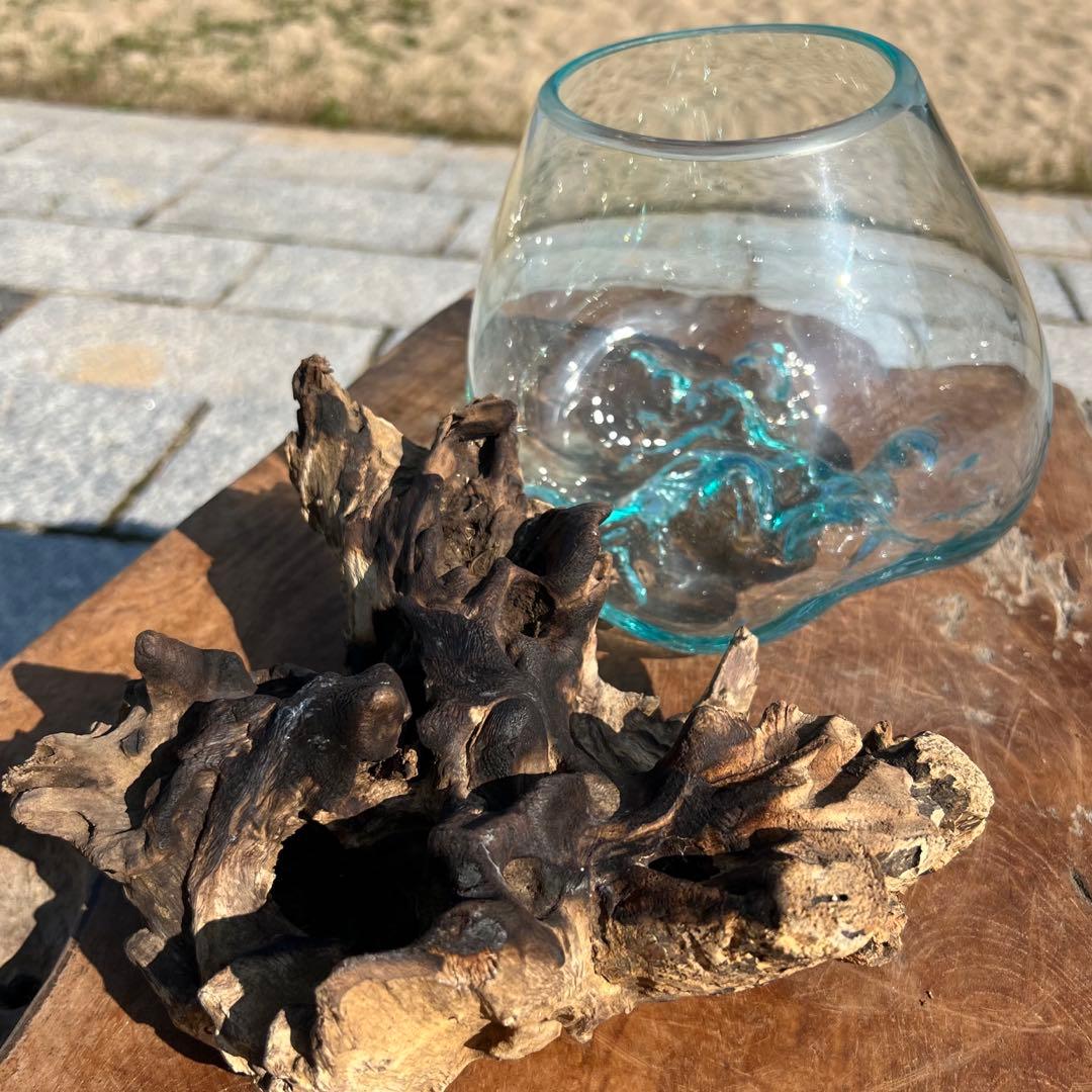 流木ガラス オブジェ中R 花瓶 金魚鉢 ガーデニング テラリウム 観賞魚 容器