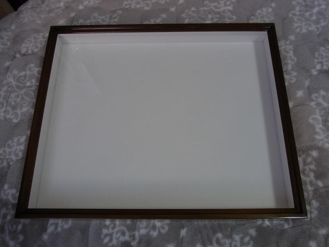 標本箱 T-WOOD 新品 未使用 幅500mm+x高410mm+x厚60mm位